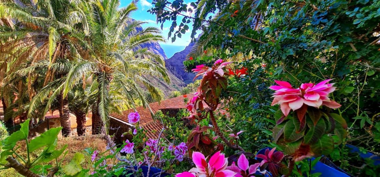 Ocean View Tenerife San Miguel de Abona Exterior foto